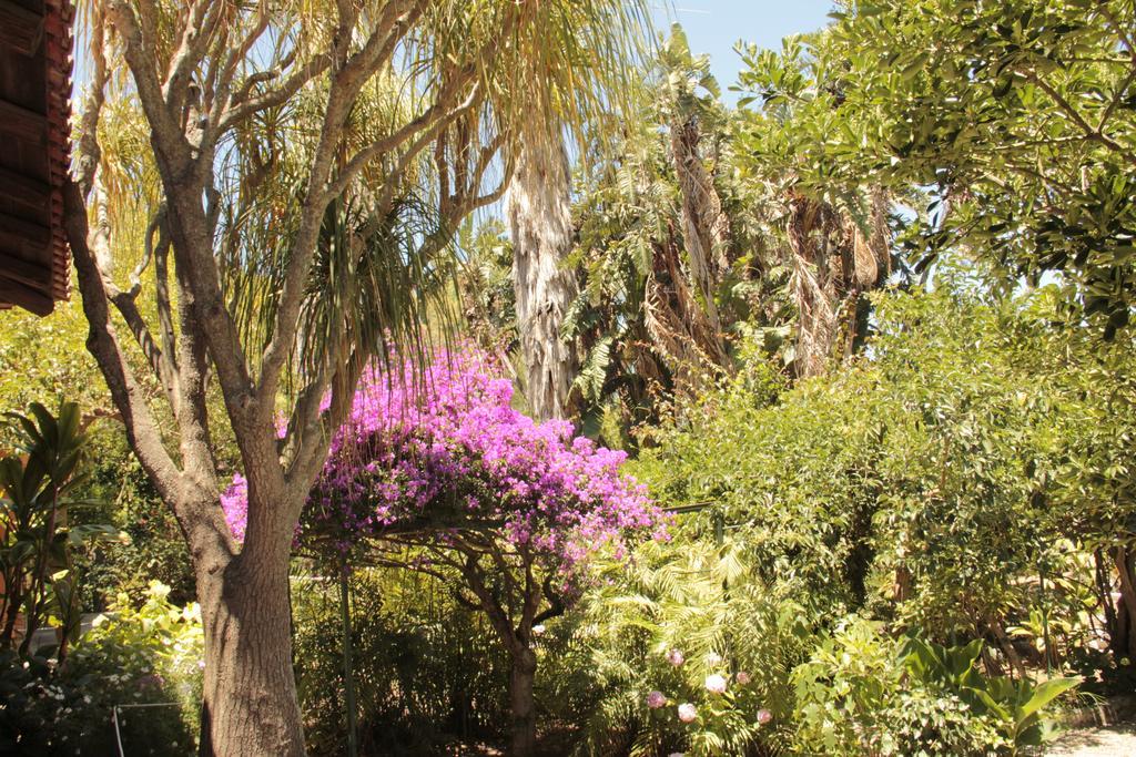 Le Palme Garden Villa San Giorgio  Luaran gambar